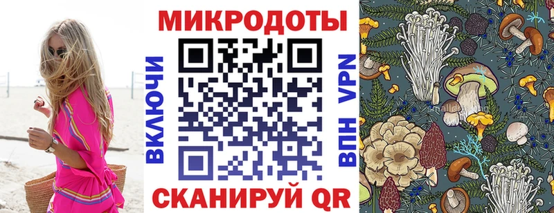 Галлюциногенные грибы Cubensis  МЕГА ссылка  Ряжск 